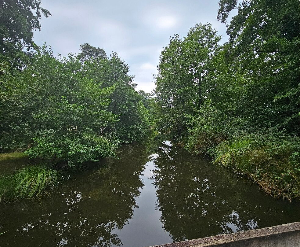 Lac de Léon-Leon必去景点