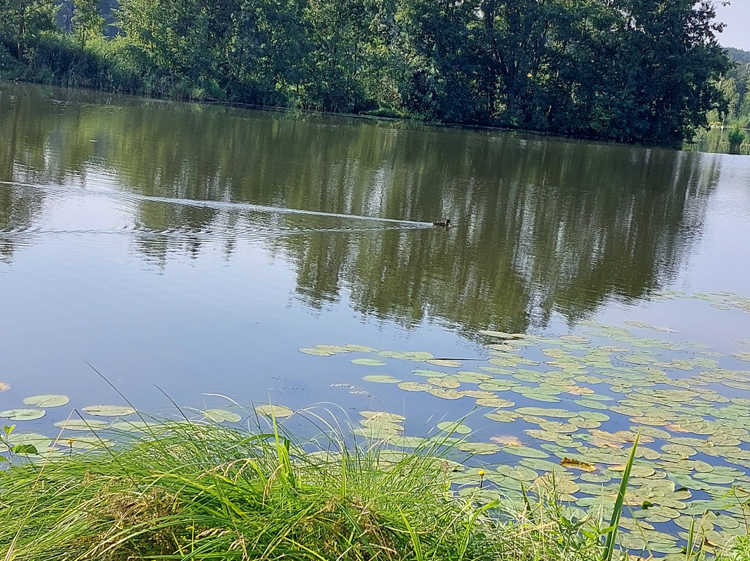 Krumnow!-Beeskow必去景点