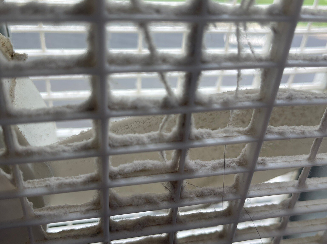 Best Western Knoxville Airport/Alcoa主图