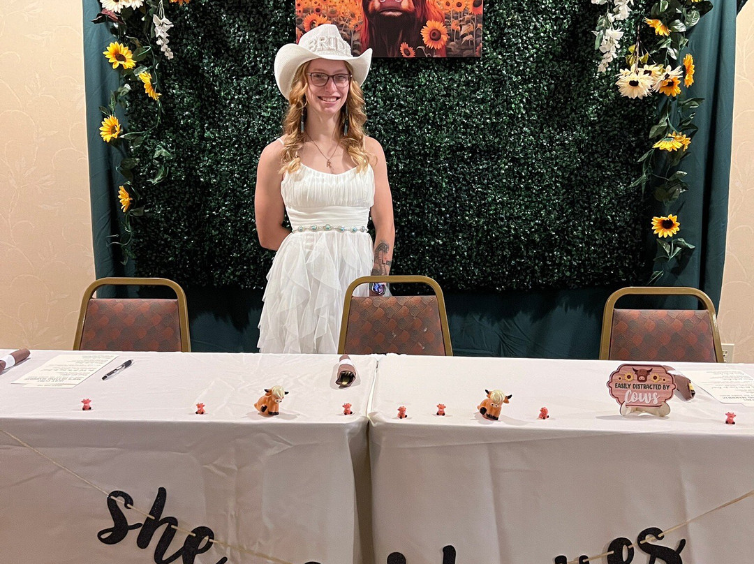 Country Inn & Suites by Radisson, Dundee, MI主图