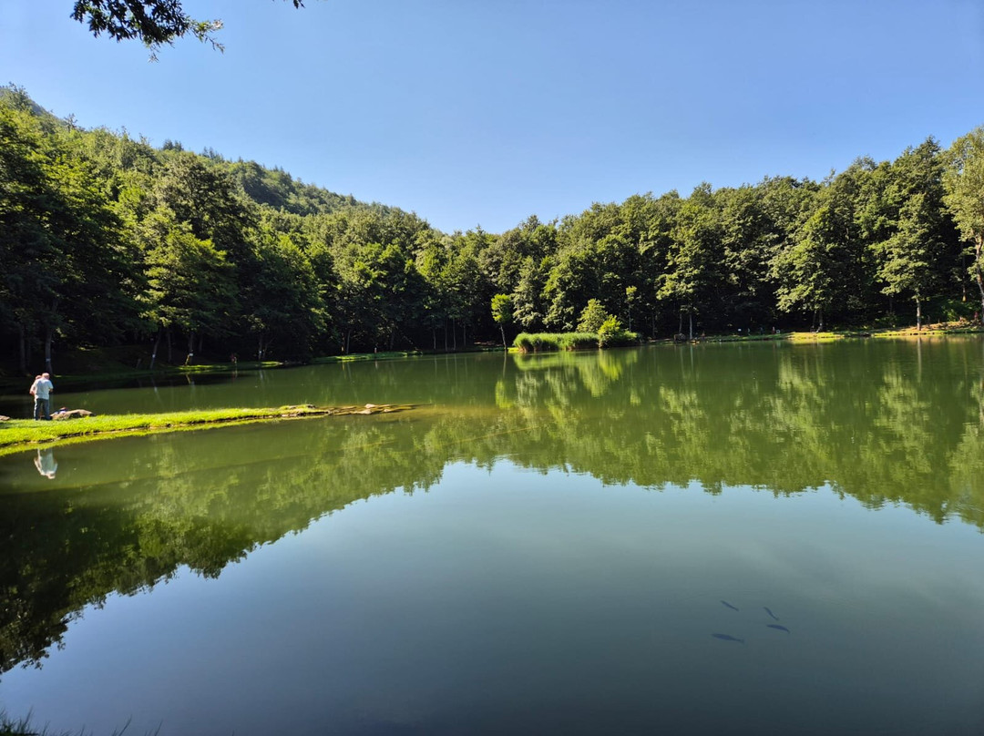Lago Pontini-Bagno di Romagna必去景点