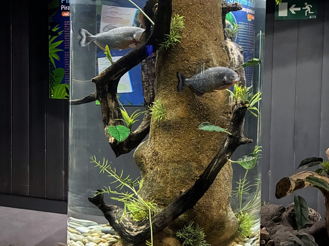 Acuario Do Grove-格罗韦必去景点