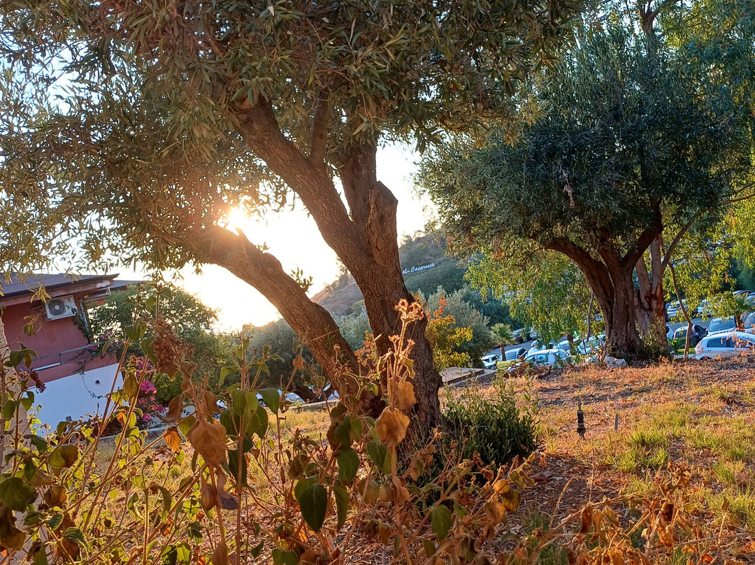 Futura Club Casarossa