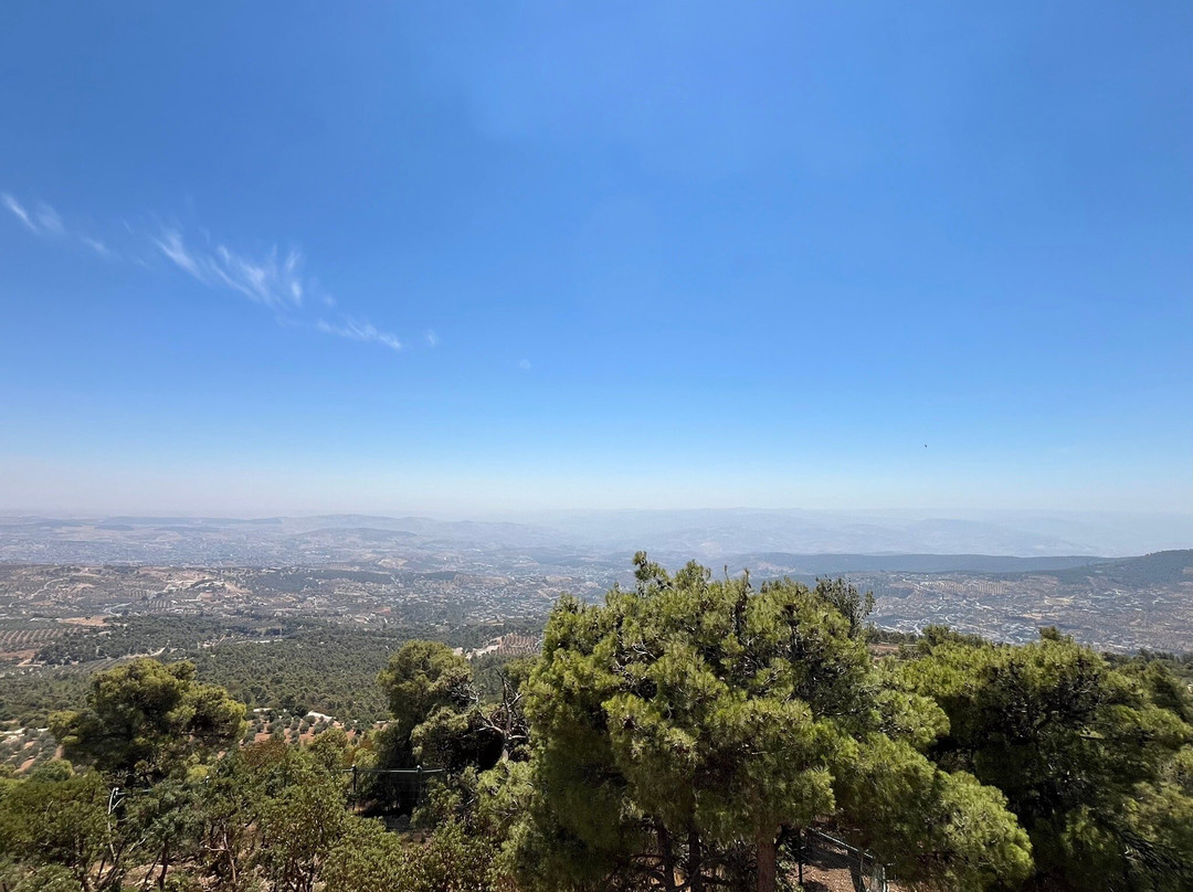 Al Ma'wa for Nature and Wildlife