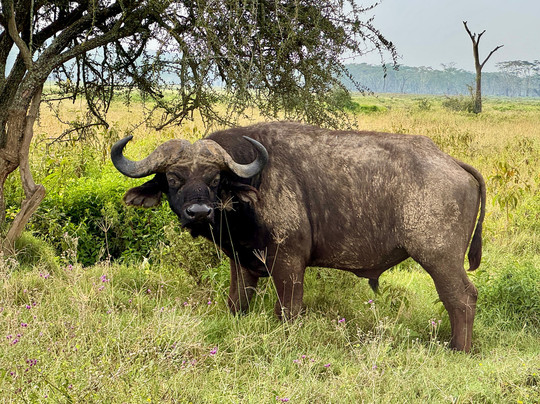 Guide Reagan-奈瓦夏必去景点