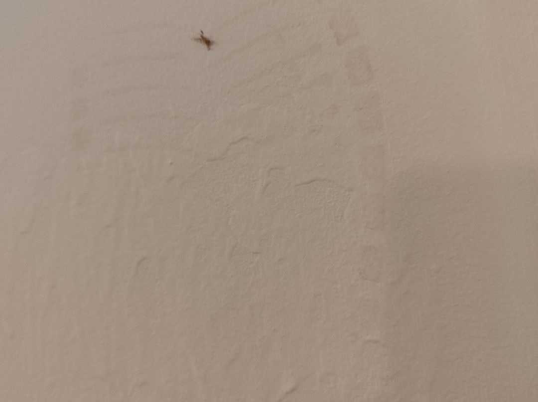 Hotel Los Angeles主图