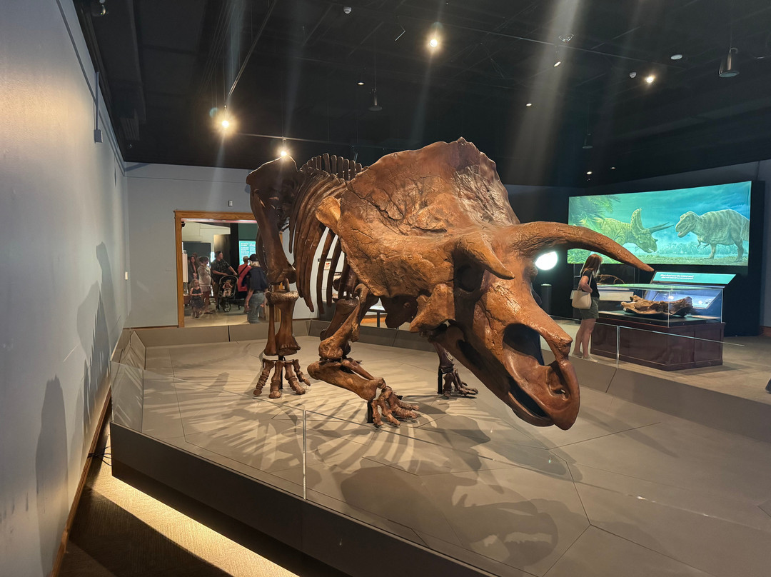 Museum of the Rockies-博兹曼必去景点