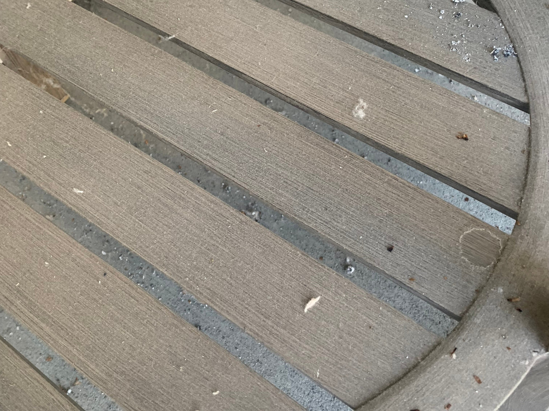 Homewood Suites by Hilton Saratoga Springs主图