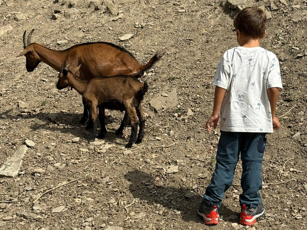 La Cañabla-Broto必去景点