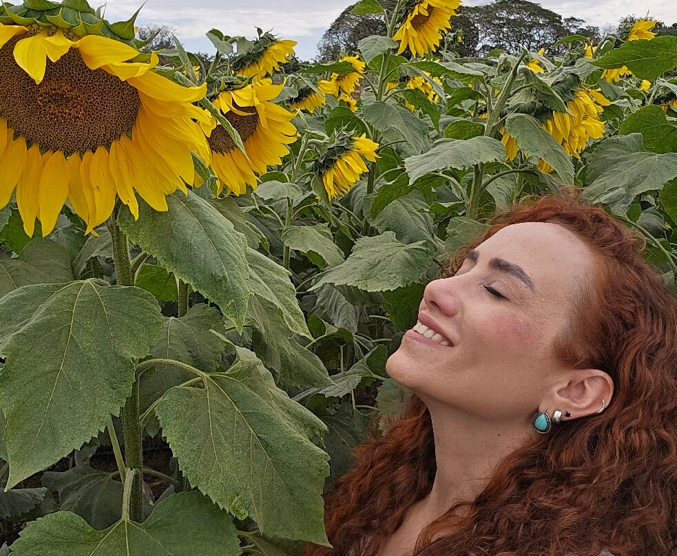 Macena Flores-Holambra必去景点