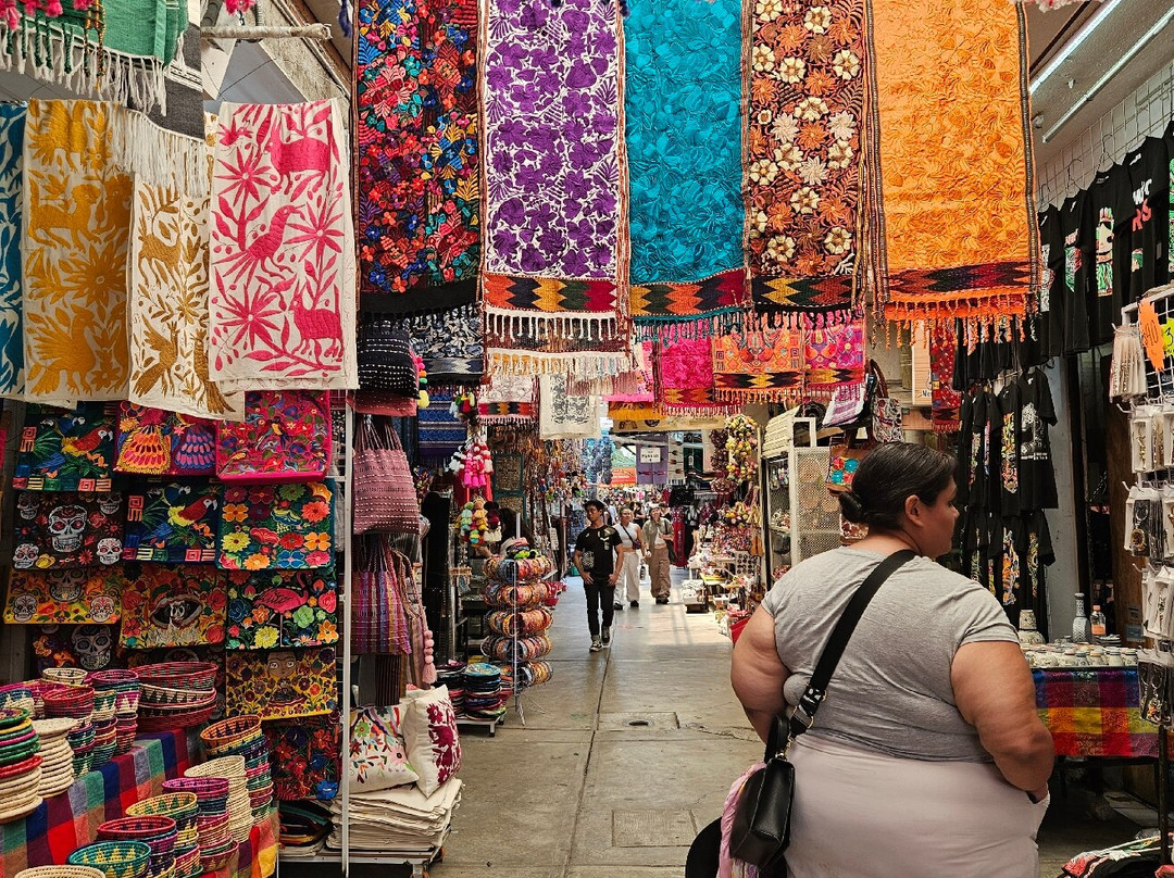 Mercado De Artesanias La Ciudadela-墨西哥城必去景点