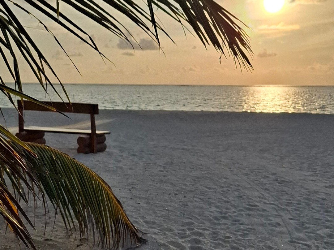 Sunset Seat