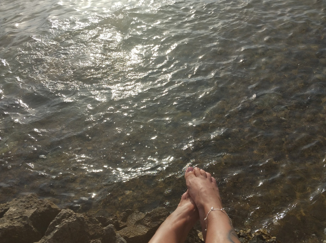 Hotel Zorna Plava Laguna主图