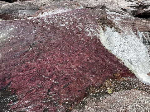 Colombia Infinita-波哥大必去景点
