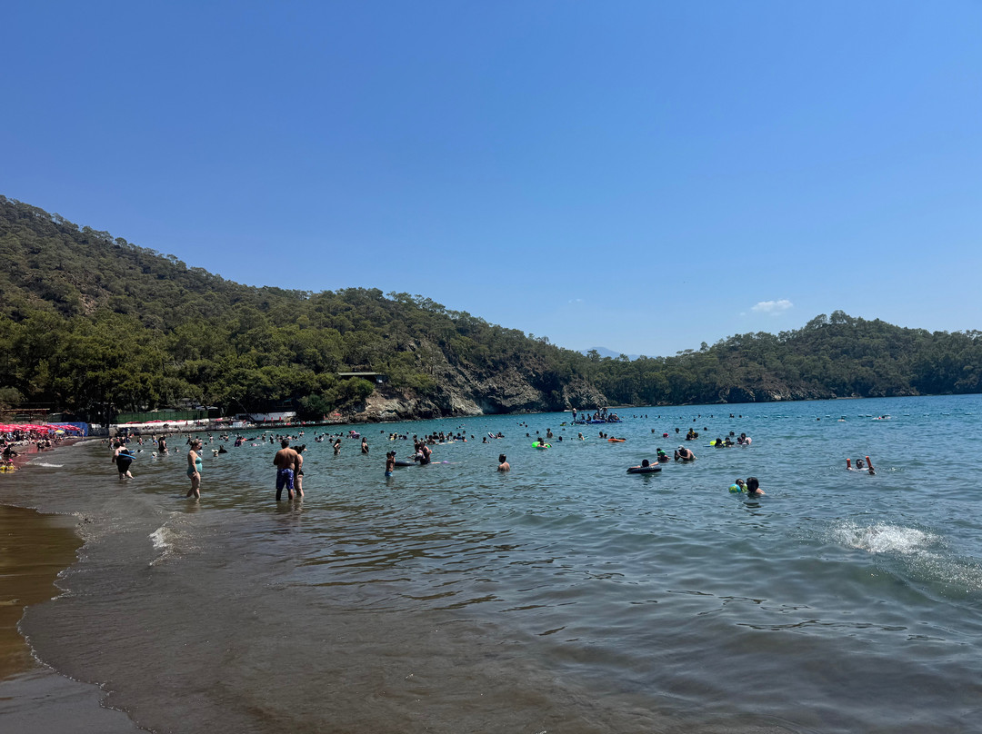 Katrancı Bay Nature Park-Yaniklar必去景点