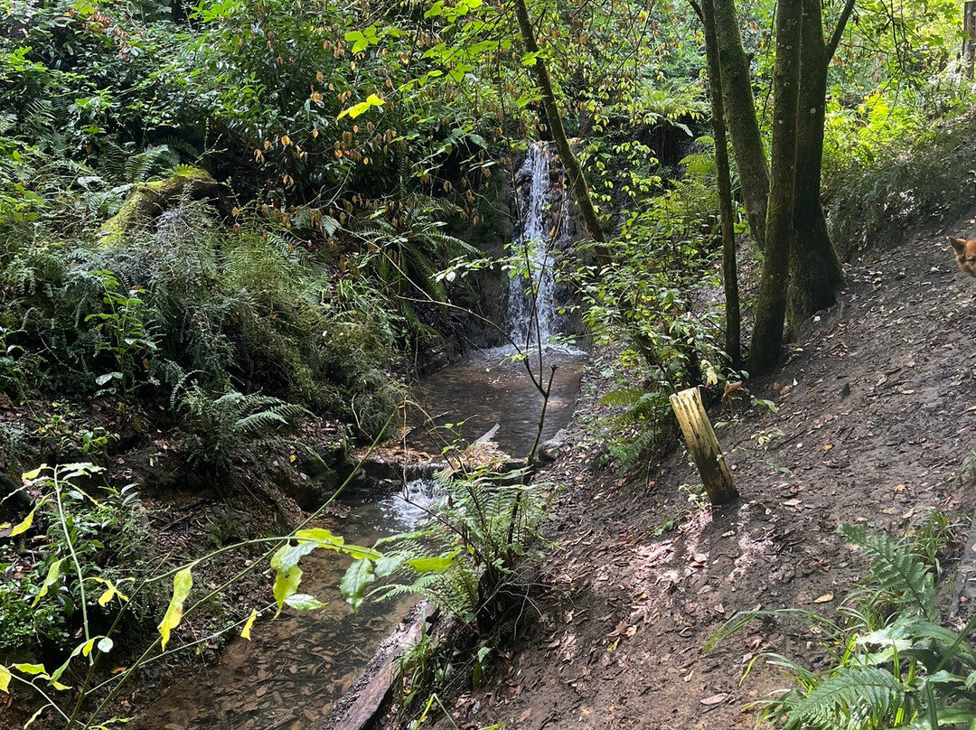 Ninesprings Country Park-约维尔必去景点