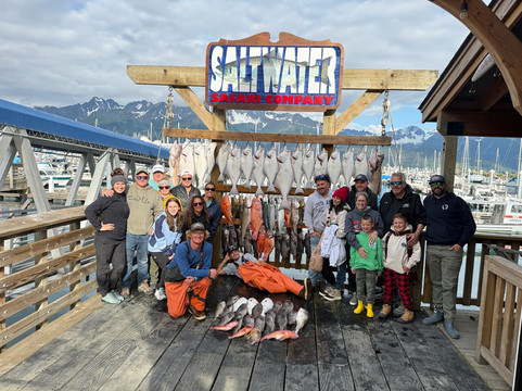 Saltwater Safari Company-苏厄德必去景点