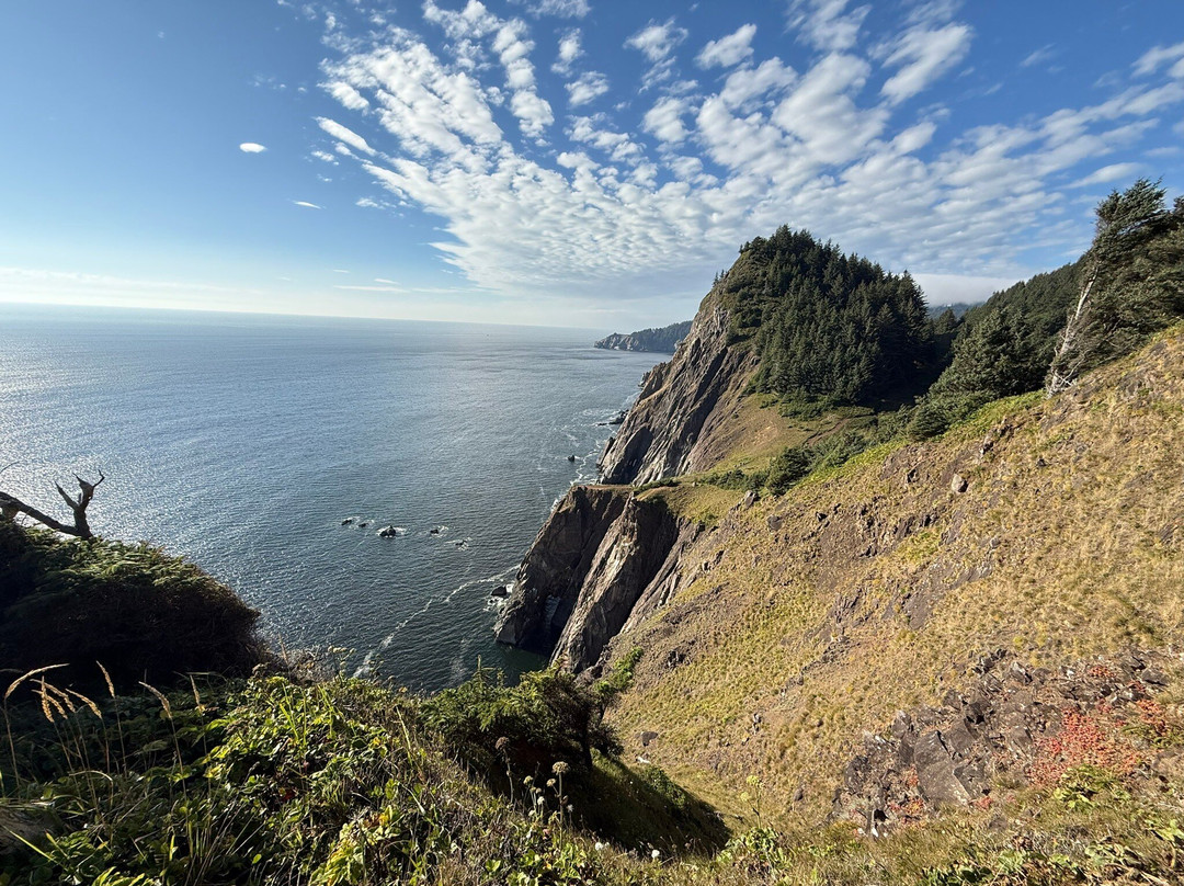 Neahkahnie Viewpoint
