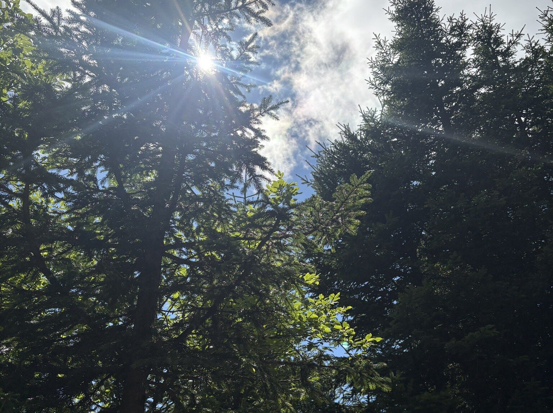 Naturpark Gantrisch-Schwarzenburg必去景点