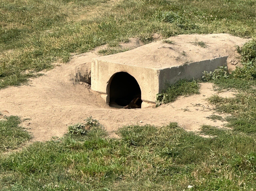 Deer Tracks Junction-Cedar Springs必去景点