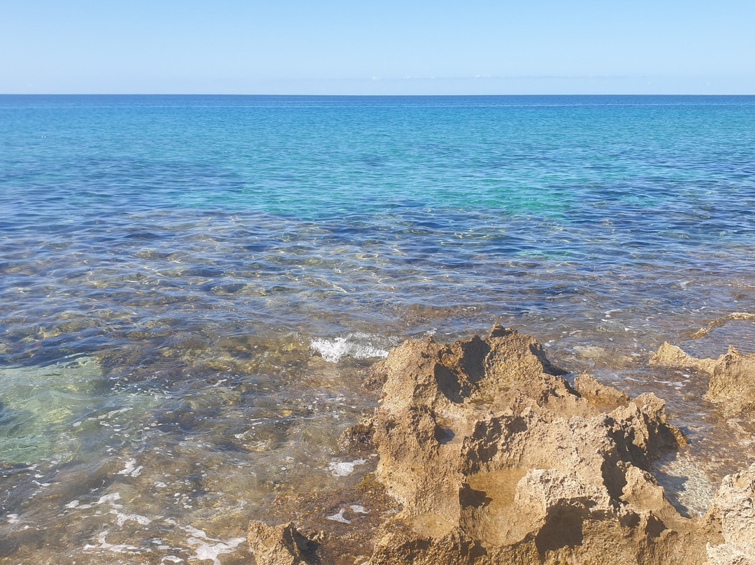 B&B Sole Luna e Girasoli主图