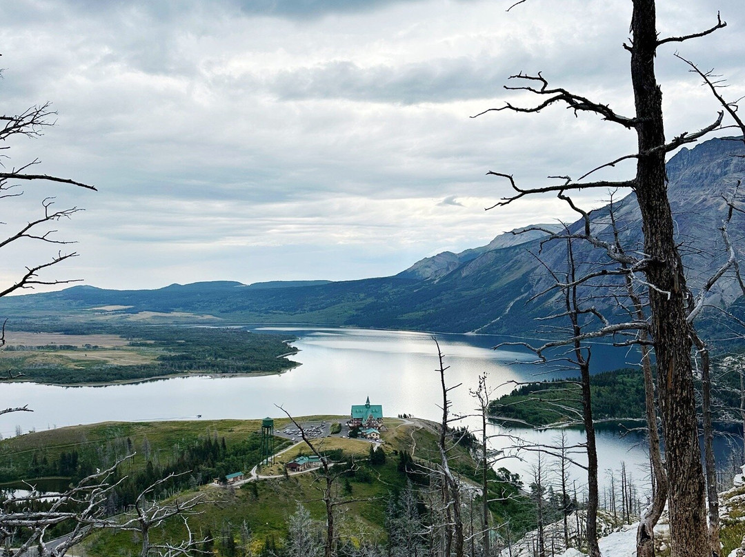 Bear's Hump-沃特顿湖国家公园必去景点