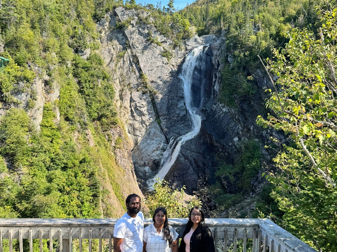 Steady Brook Falls Trail-Steady Brook必去景点