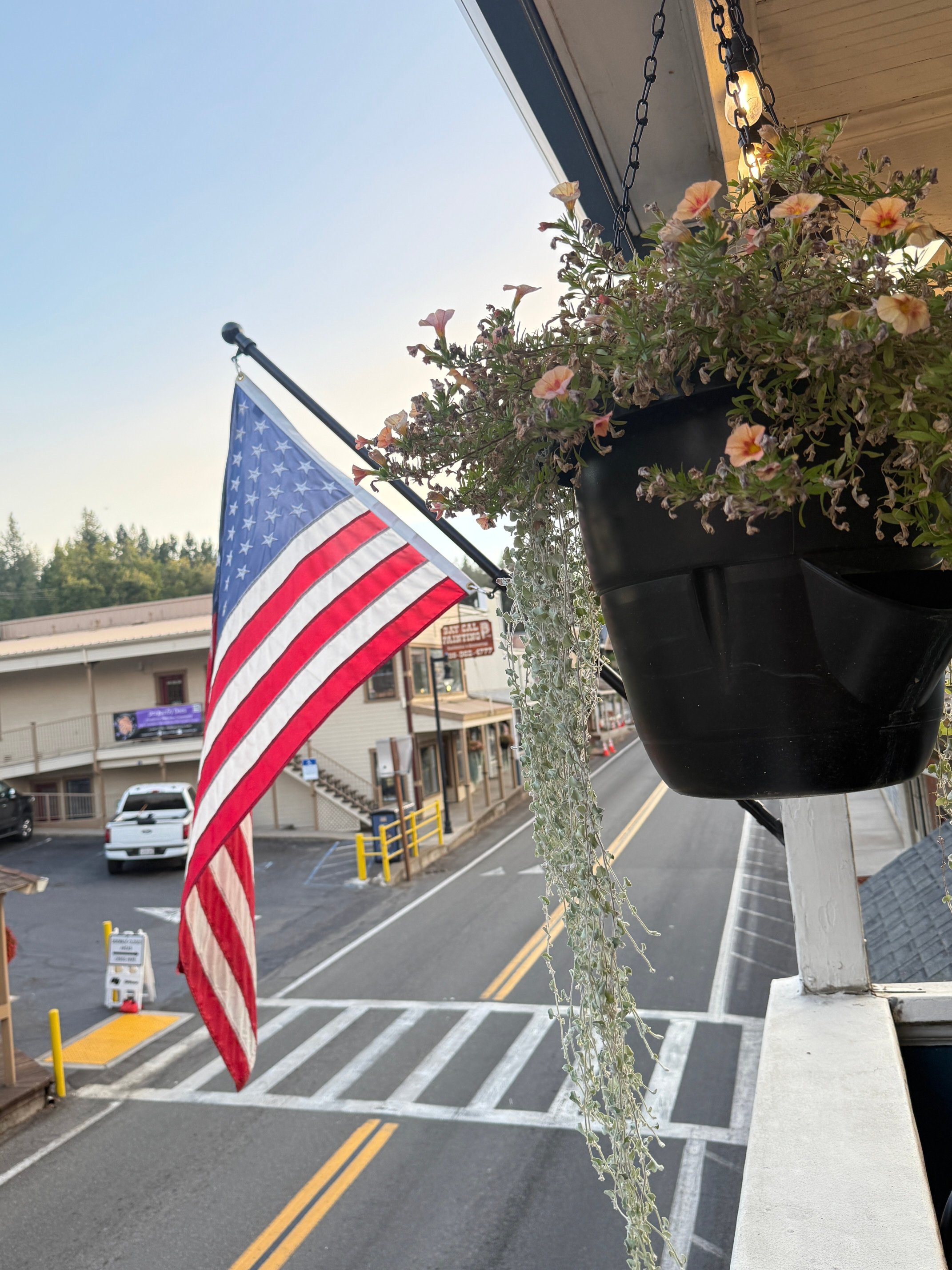 夏洛特酒店-官方