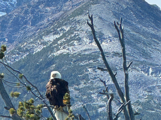 The Chilko Experience Wilderness Resort主图