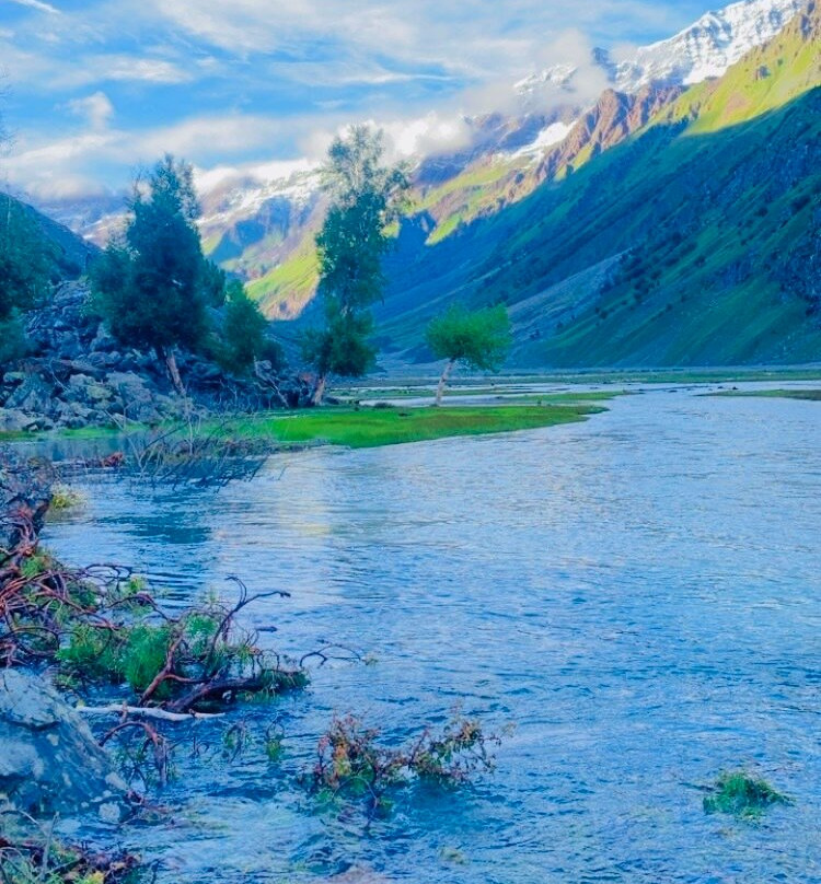 Naltar Valley-Naltar Valley必去景点