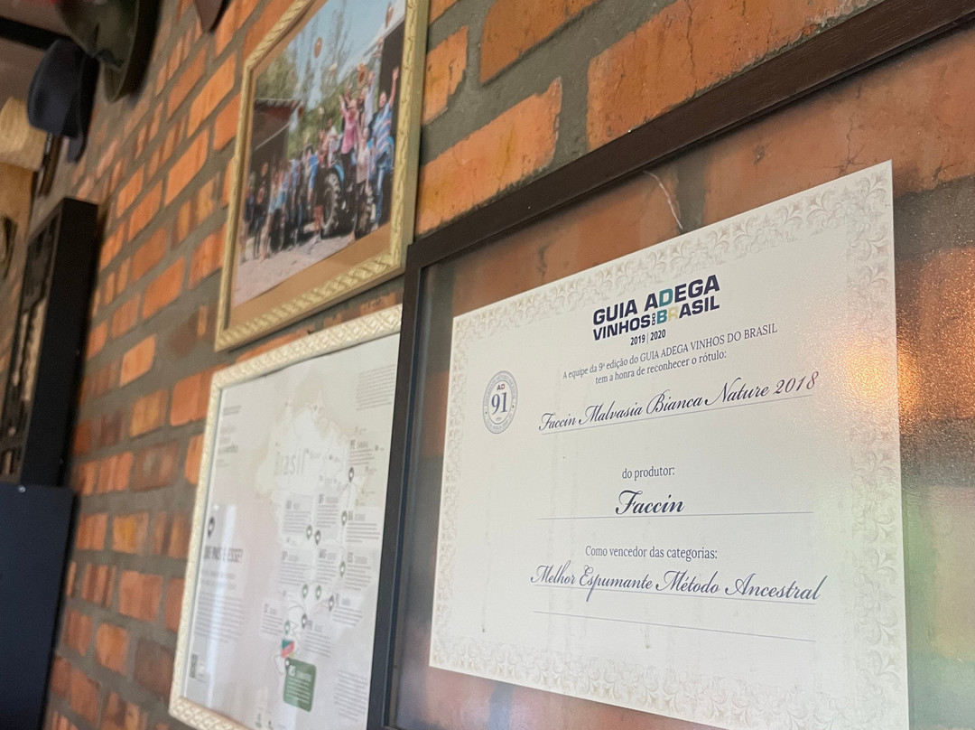 Faccin Vinhos-Monte Belo do Sul必去景点
