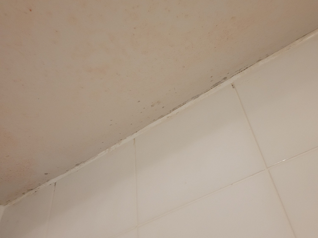 Premier Inn Wirral (heswall) Hotel主图