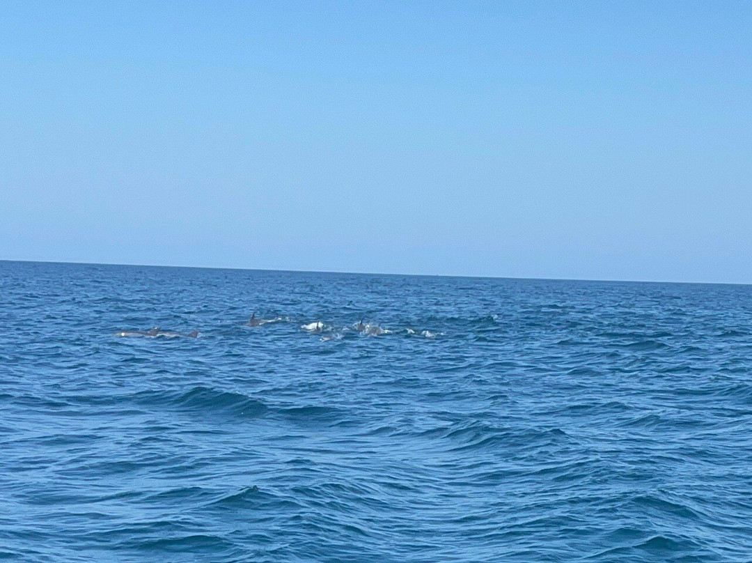 Zinkwazi Dive Charters-Zinkwazi Beach必去景点