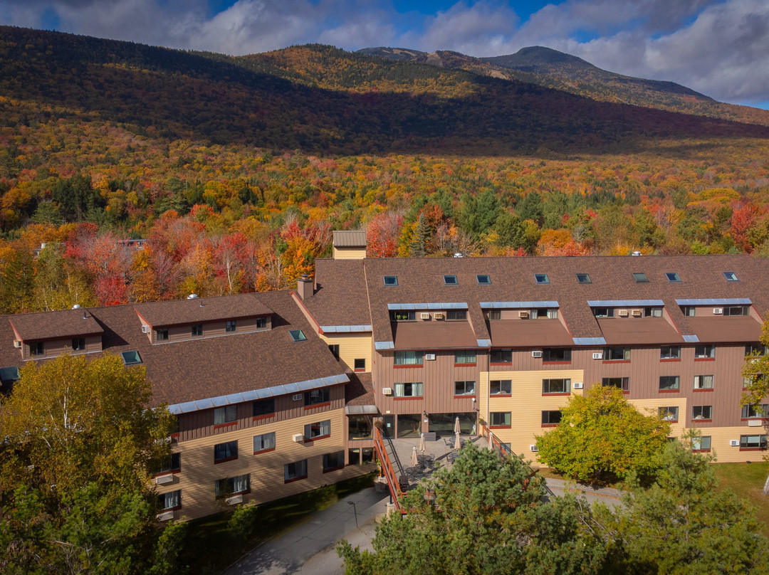 Black Bear Lodge主图