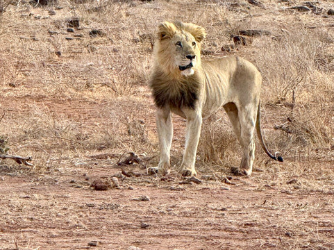 Kenya con Abdul-马林地必去景点