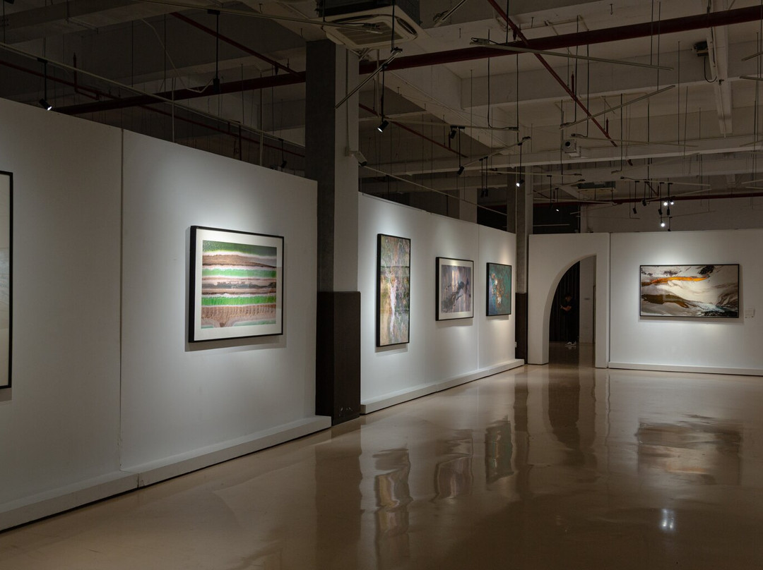 Lotus Gallery-胡志明市必去景点