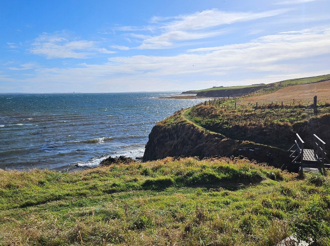 Scapa Distillery-柯克沃尔必去景点