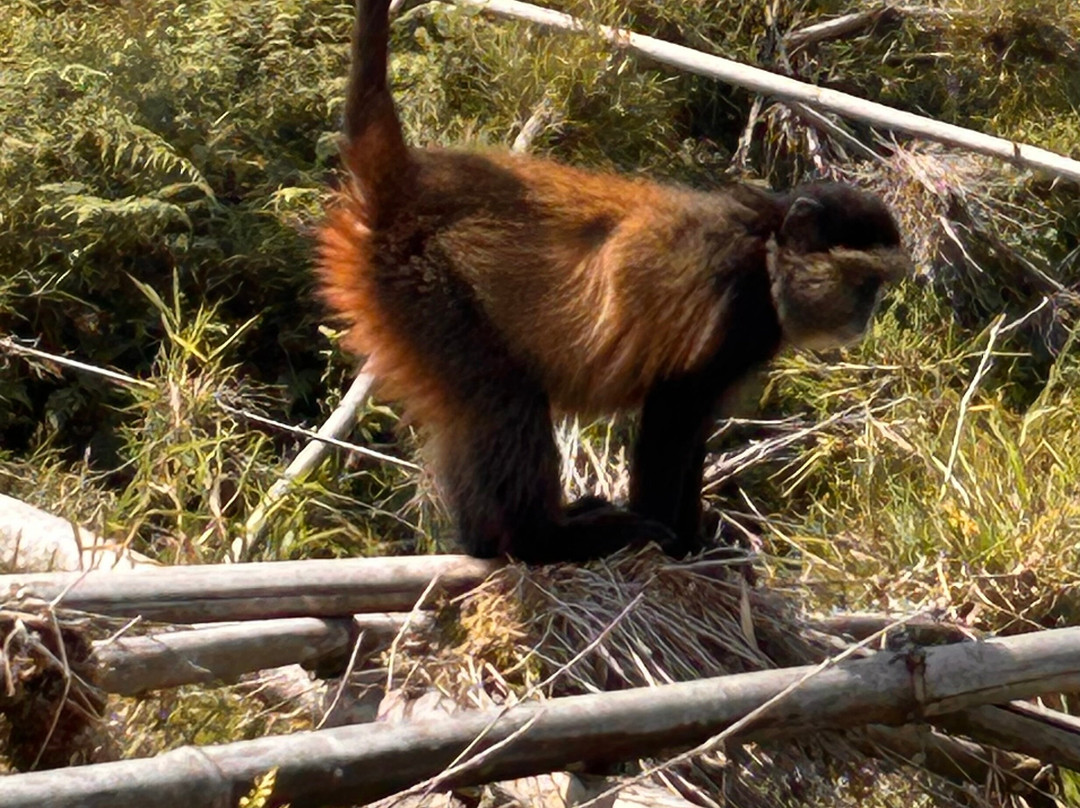 Lets Go Tours Rwanda-吉佳利必去景点