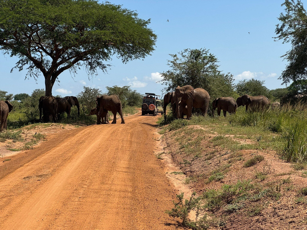 African Jungle Adventures -  Day Tours-吉佳利必去景点