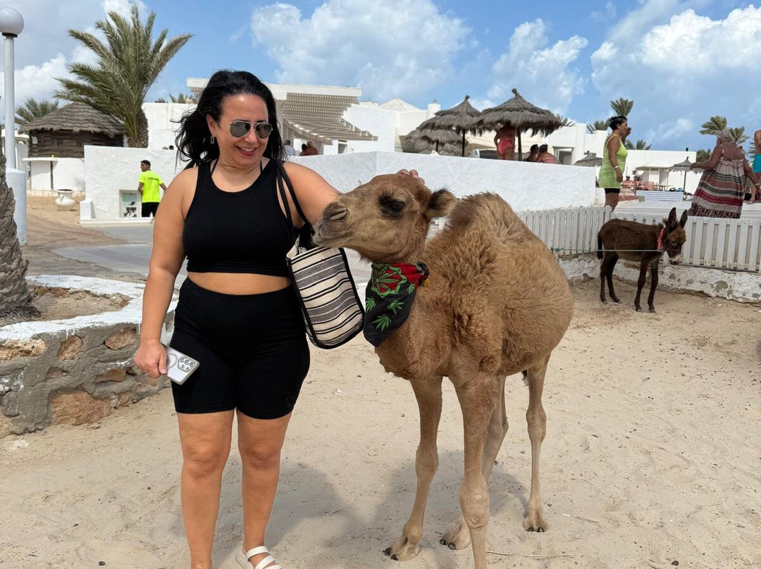 Nour Equestre Djerba-Djerba Midun必去景点