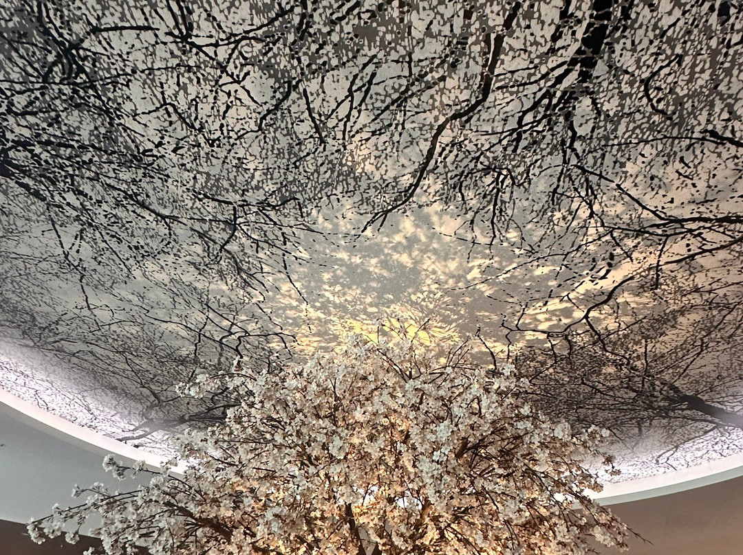 Club Med Tomamu Hokkaido-占冠村必去景点