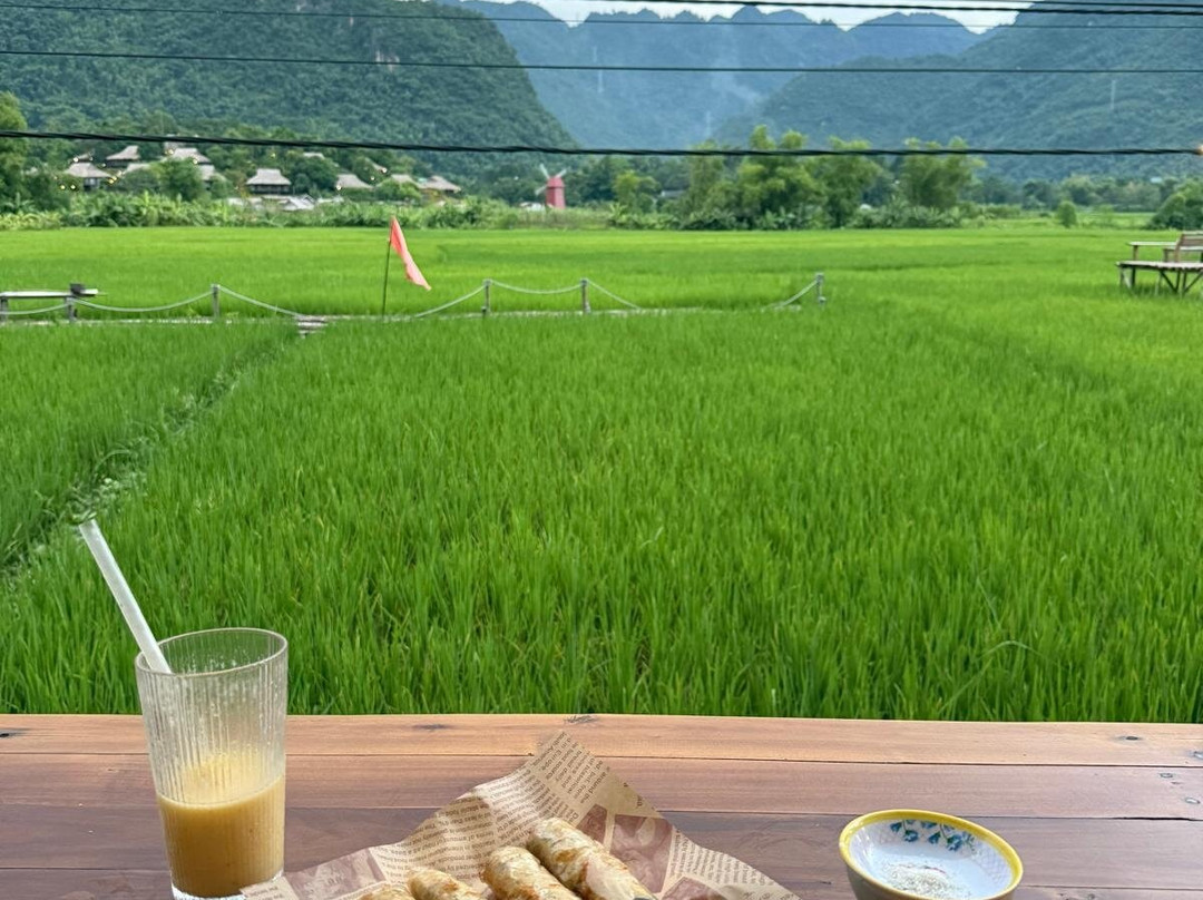 Ocean Easyrider Tour Vietnam-大勒必去景点