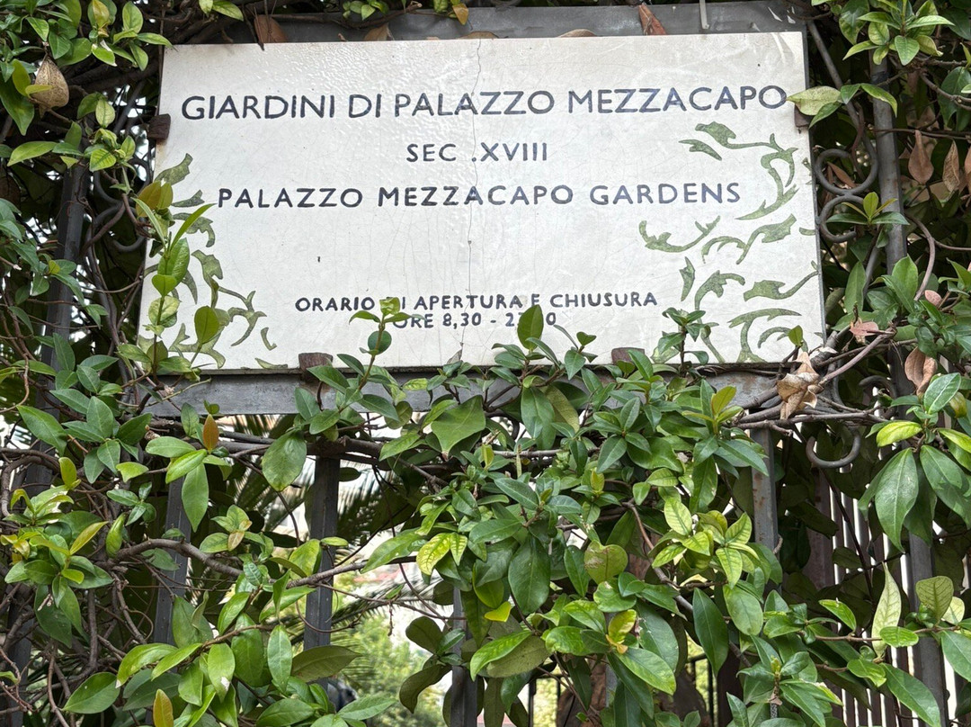 Palazzo Mezzacapo-马奥莱必去景点