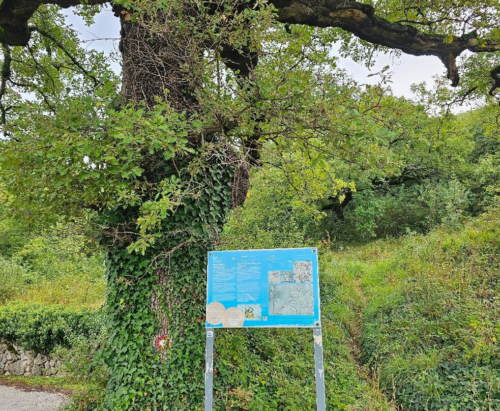 Ronald Brown Pathway-察夫塔特必去景点