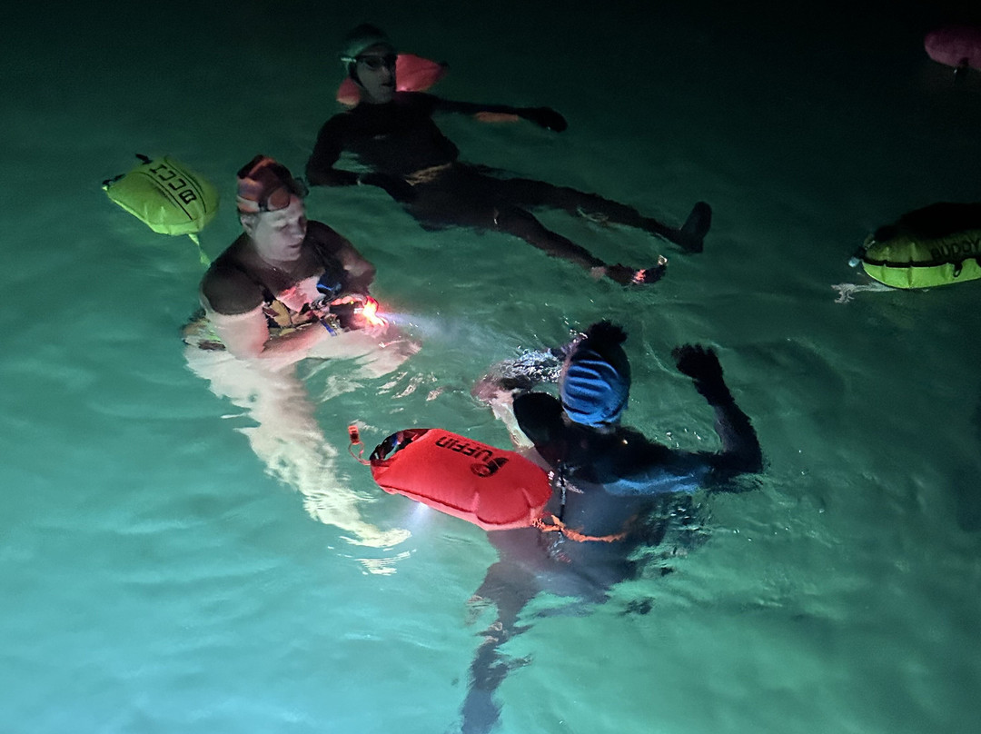 Basking Shark Scotland-奥本必去景点