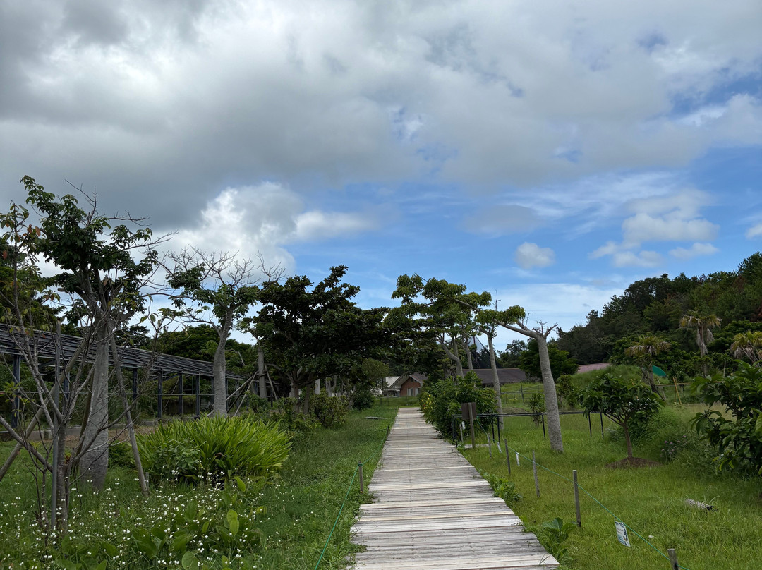 名护Neo自然动植物公园-名护市必去景点