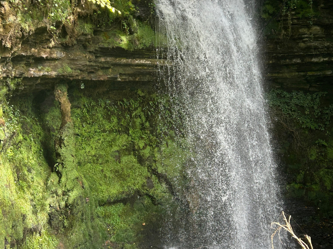 Tara Tours Ireland-都柏林必去景点