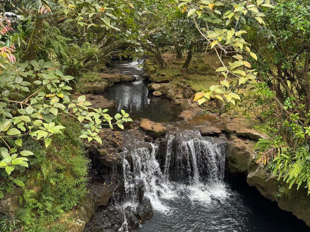 Belle Mare Tours-贝尔马尔必去景点