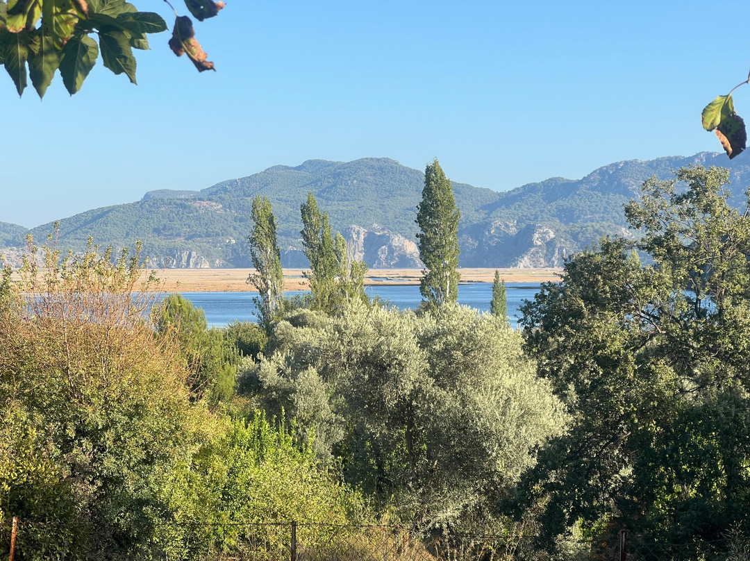 Dalyan Villa Kiydan Boat Tours-达利安必去景点