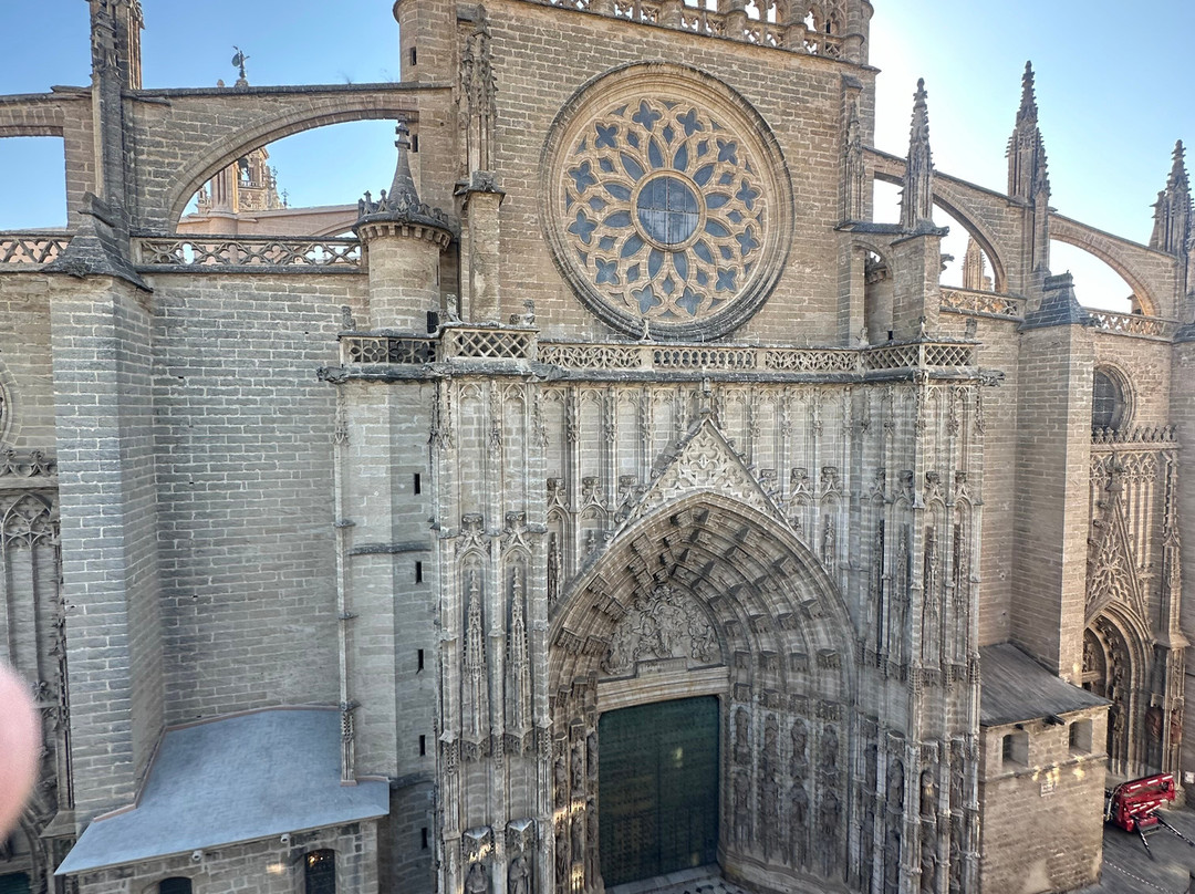 Seville Private Guide - Sofia Ventura-塞维利亚必去景点